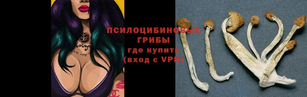 MESCALINE Волоколамск