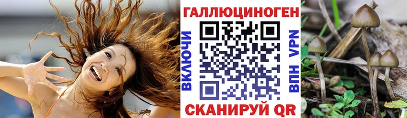 Галлюциногенные грибы Psilocybine cubensis  Купить  Клин 